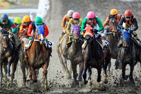 CANON EOS Kiss X3 ボディで撮影された写真 - 価格.com