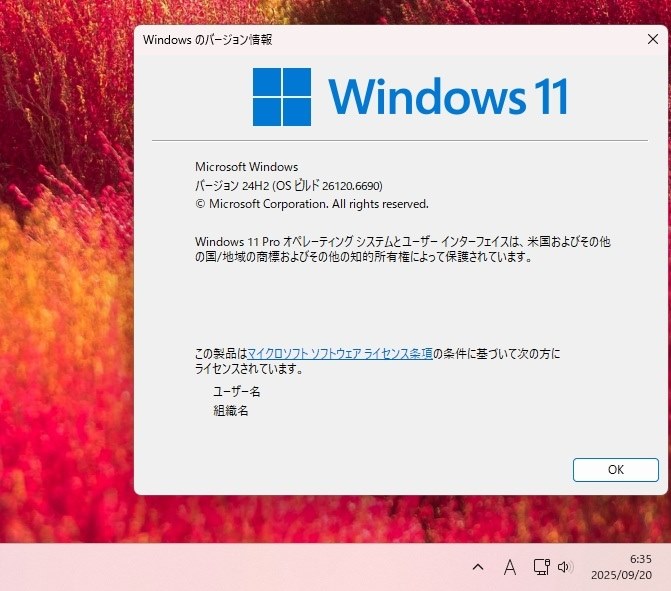 外観気にしない方どうですか？win11 ワードエクセル2019付 Windows 11 - 「wt.exeが見つかりません」と表示される場合の