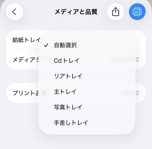 ぶーちゃんお取り置き 他の方は購入をお控え下さい ぶーちゃん様専用お取り置き 他の方は購入をお控え下さい - メルカリ