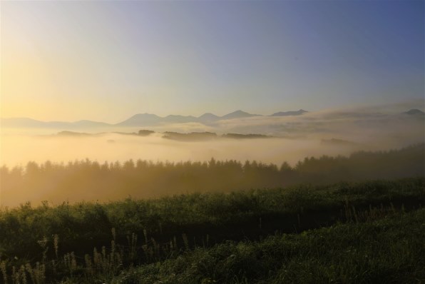 CANON EF17-40mm F4L USMで撮影された写真 - 価格.com