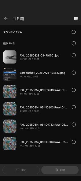 Google Google Pixel 9 Pro XL 256GB SIMフリー [Porcelain]投稿画像