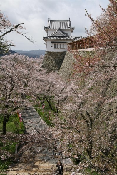 CANON EOS Kiss デジタル X レンズキットで撮影された写真 - 価格.com