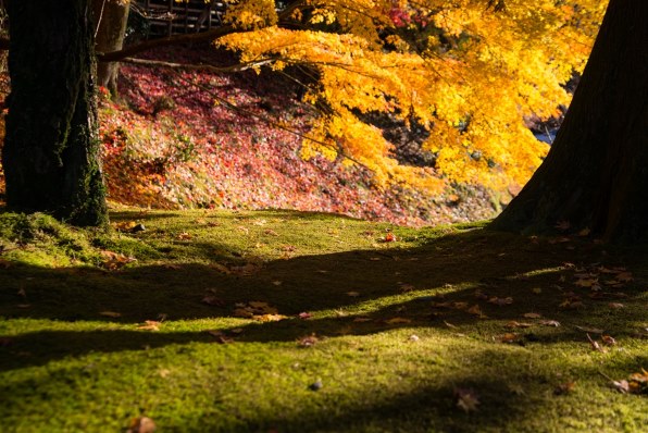 ニコン D750 ボディ 価格比較 - 価格.com