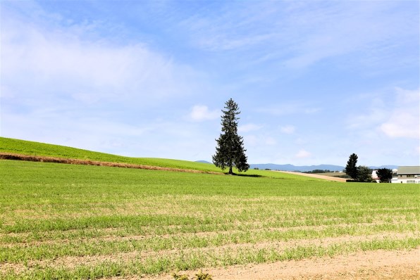 風景写真に最適◎ Canon EF 17-40mm F4L USM CANON EF17-40mm F4L USM】実感写真レビューとレンズレビュー