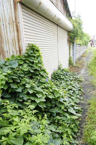 SONY Vario-Sonnar T＊ DT 16-80mm F3.5-4.5 ZA SAL1680Zで撮影された