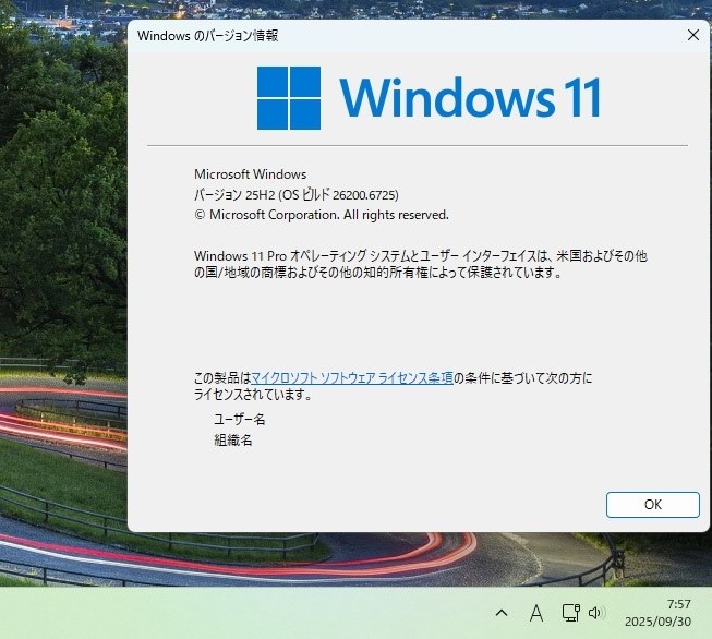 Win 11 Insider Preview (25H2) 26200.6725 (Release Preview