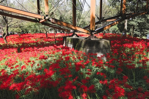 CANON EF17-40mm F4L USMで撮影された写真 - 価格.com