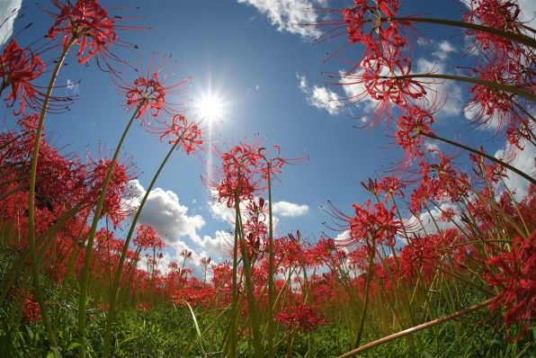 富士フイルム FUJIFILM X-E1 レンズキット [Silver]投稿画像・動画