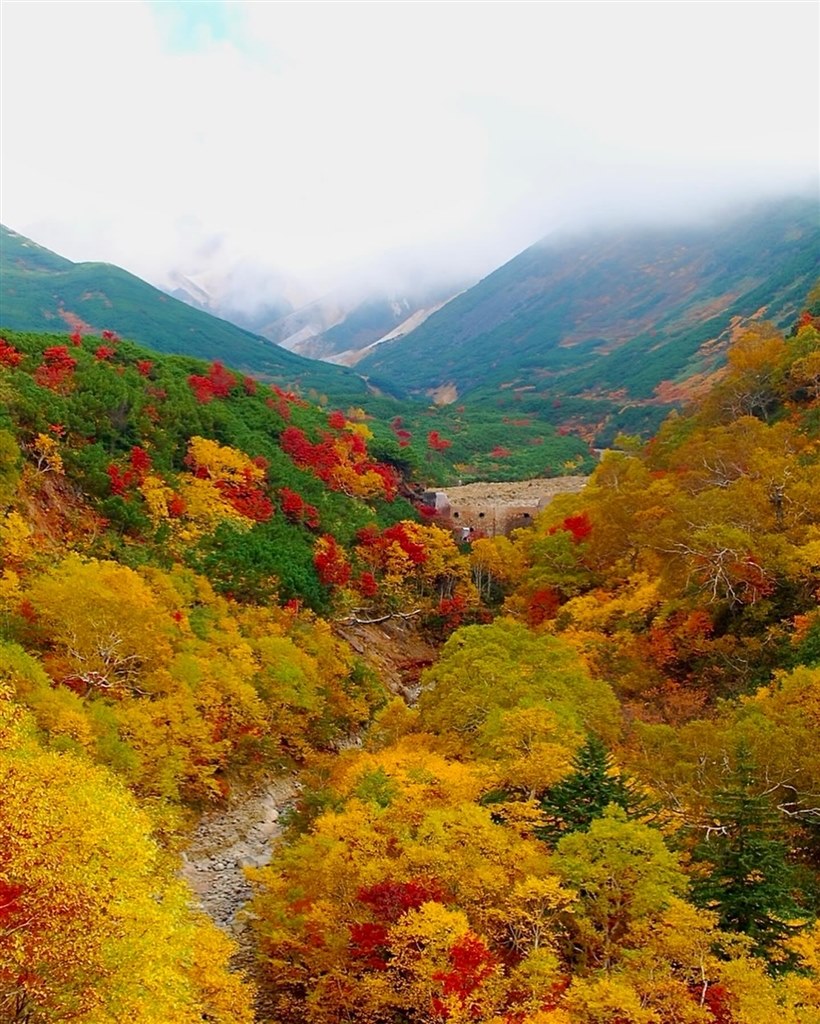 ☆耐久性と操作性に優れた中堅機☆ Nikon ニコン D80 ボディ