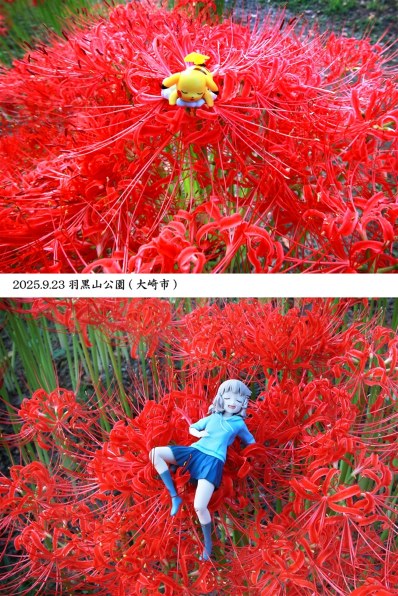 CANON EF-S10-22mm F3.5-4.5 USMで撮影された写真 - 価格.com