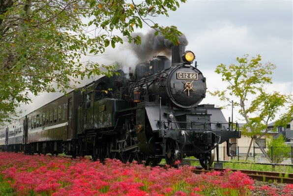 SONY E 16-55mm F2.8 G SEL1655Gで撮影された写真 - 価格.com