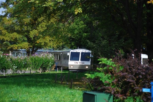 ニコン D80 AF-S DX VR 18-200G レンズキットで撮影された写真