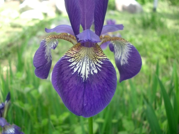 カシオ EXILIM ZOOM EX-Z3で撮影された写真 - 価格.com