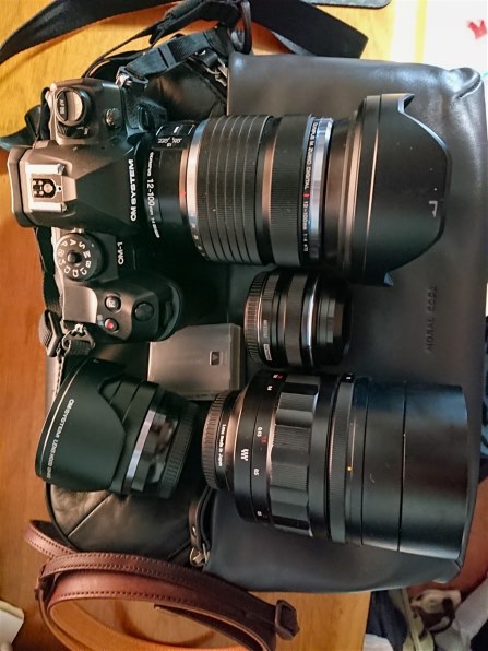 SONY Xperia XZ1 SO-01K docomo [Warm Silver]で撮影された写真