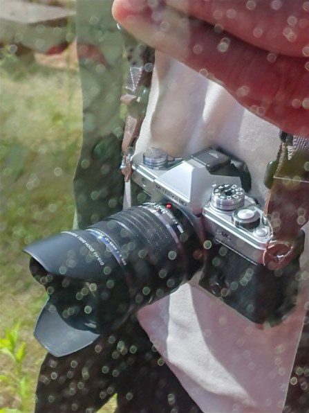 SONY Xperia XZ1 SO-01K docomo [Warm Silver]で撮影された写真