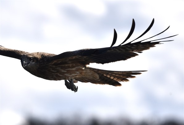 Nikon D750 ボディ (写真に写ってるもの) ニコン D750 ボディで撮影された写真 - 価格.com