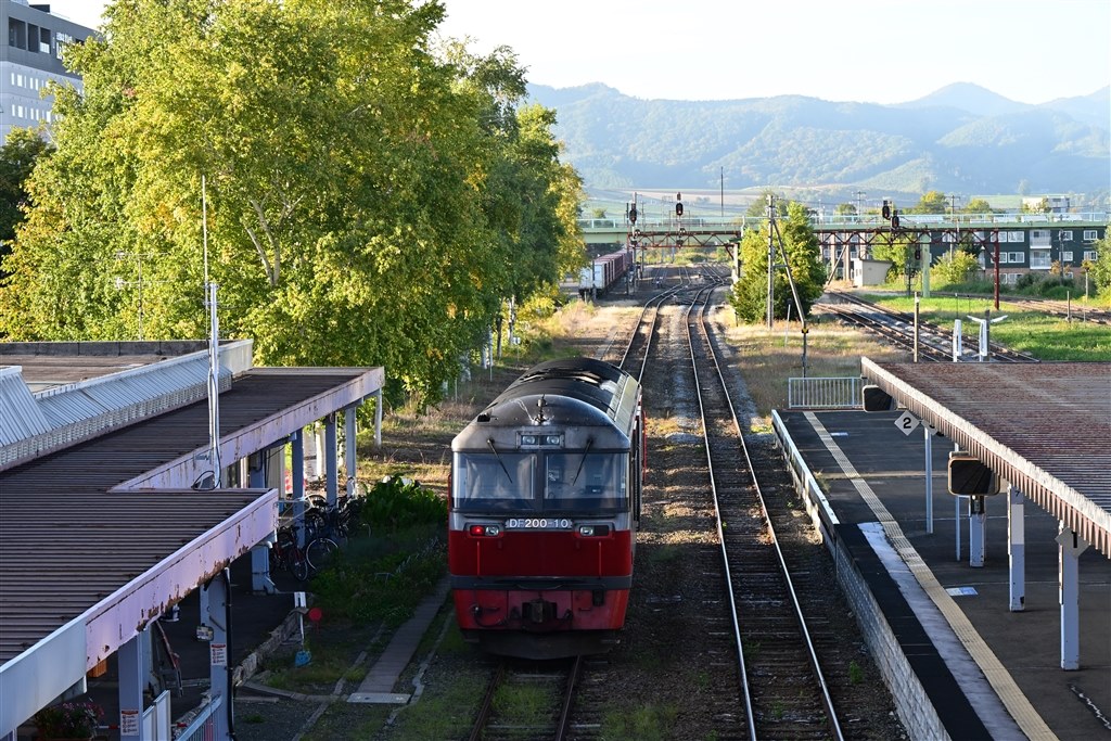 欲しかったんですこう言うのを！Part3』 ニコン Z f ボディ の