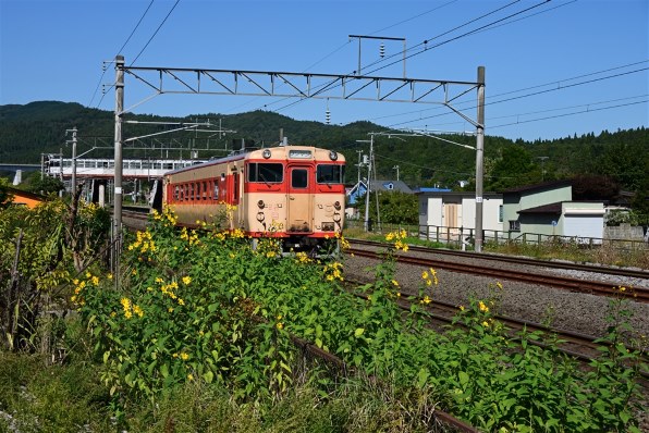 ニコン NIKKOR Z 28-400mm f/4-8 VRで撮影された写真 - 価格.com