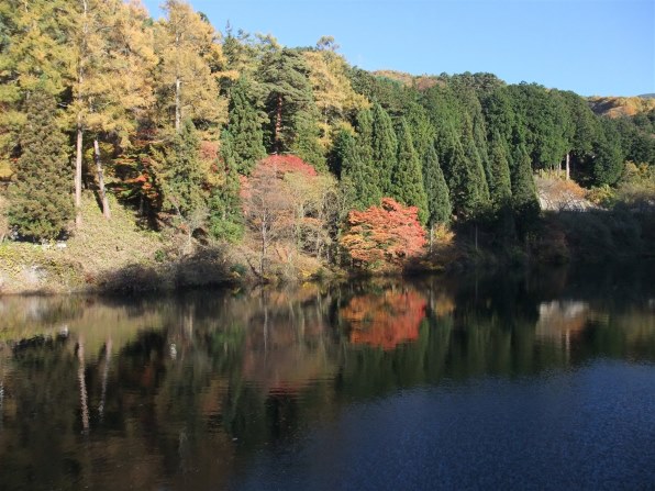 富士フイルム FinePix F200EXRで撮影された写真 - 価格.com