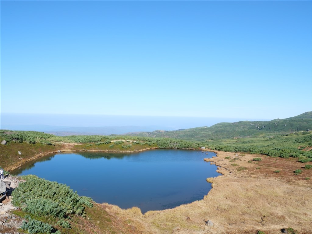 こまさん専用！DC-TZ99他の方はご購入出来ません。 九鬼産業オンラインショップ TK-40