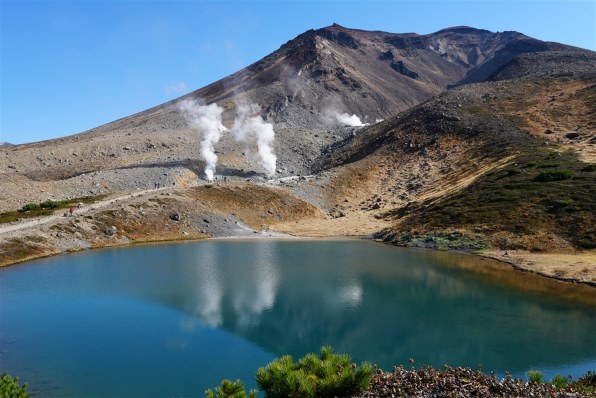 【試し撮りのみ】SONY FE 28-60mm F4-5.6 Amazon.com : Sony FE 28-60mm F4-5.6 Full-Frame Compact Zoom