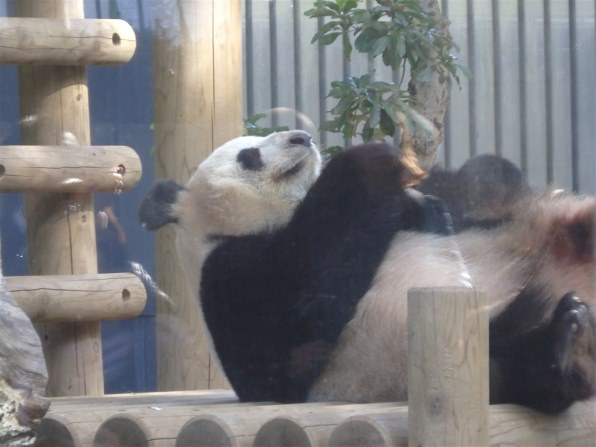 Saito ニコン Z5II ボディ 価格比較 - 価格.com