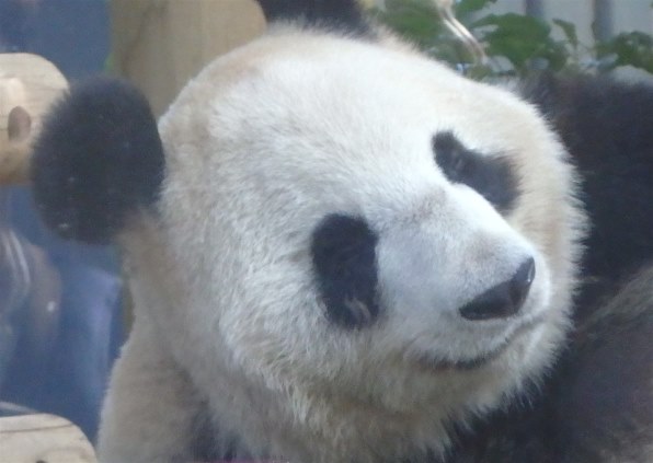 Saito ニコン Z5II ボディ 価格比較 - 価格.com