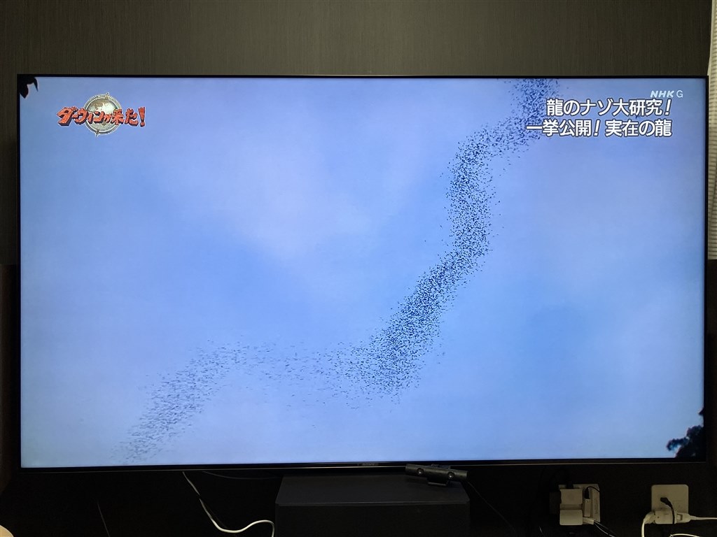 修理したのに、1年半後に、またオセロ（涙）』 SONY BRAVIA XRJ-85X95J