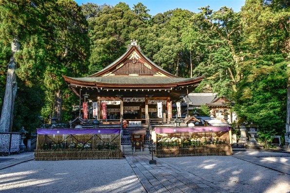 【作例あり】風景から人物をこれ1本♪Nikon AF-S 18-140mm VR ニコン AF-S DX NIKKOR 18-140mm f/3.5-5.6G ED VRで撮影された写真