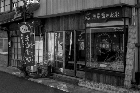 [美品] 作例有り。Nikon AF NIKKOR 50mm F1.8D 作例付】Nikon AiAF 50mm f1.8 猫撮影レビュ－【古デジレビュー？】