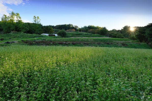 TAMRON 18-200mm F/3.5-6.3 DiⅢ VC ソニー用 カメラレンズ XF18-120mmF4 LM PZ WR [FUJIFILM X/ズームレンズ] 富士