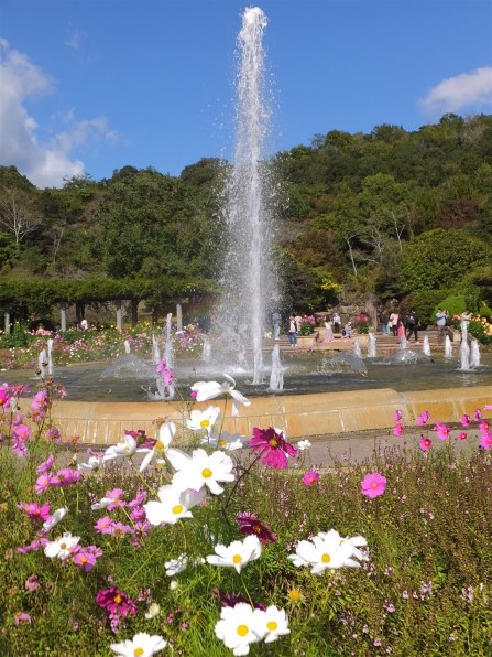 富士フイルム FinePix F1000EXR [レッド]で撮影された写真 (掲示板