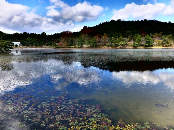 富士フイルム FinePix F1000EXR [レッド]で撮影された写真 (掲示板
