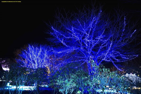 ニコン D750 ボディで撮影された写真 - 価格.com