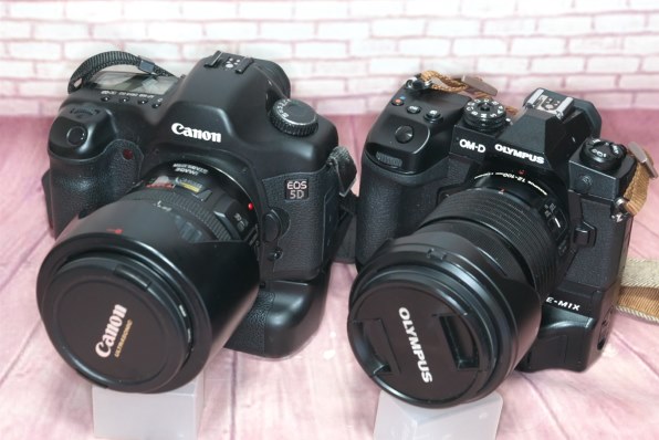 SONY α6300 ILCE-6300L パワーズームレンズキットで撮影された写真