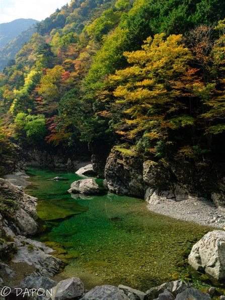 富士フイルム FUJIFILM X-T5 XF16-50mmレンズキット 価格比較 - 価格.com