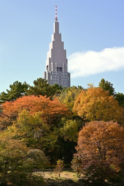 公式写真Ｂ 001.jpg