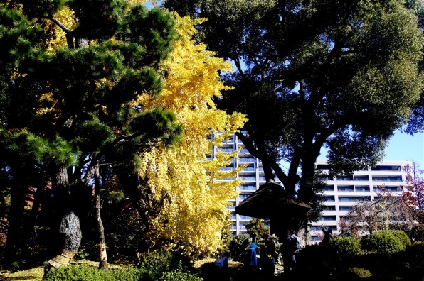 SONY α55 SLT-A55VY ダブルズームレンズキットで撮影された写真 - 価格.com