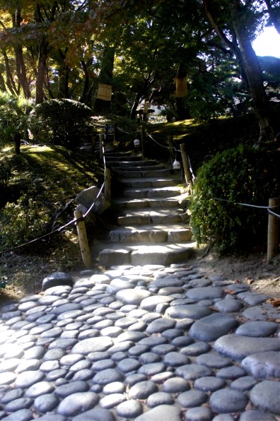 SONY α55 SLT-A55VY ダブルズームレンズキットで撮影された写真 - 価格.com