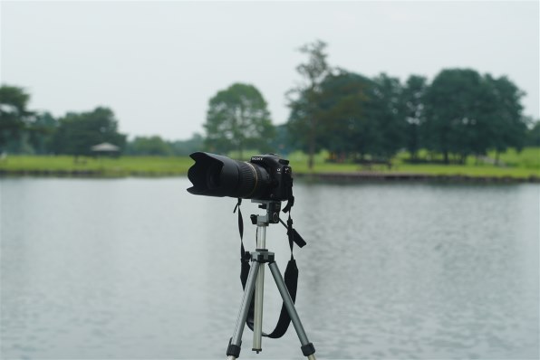 SIGMA シグマ 50mm 1:1.4 DG HSM ニコンFマウント Amazon.com : Sigma 50mm f/1.4 EX DG HSM Lens for Nikon Digital SLR