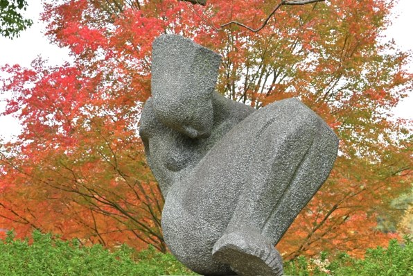 ニコン NIKKOR Z DX 50-250mm f/4.5-6.3 VRで撮影された写真 - 価格.com