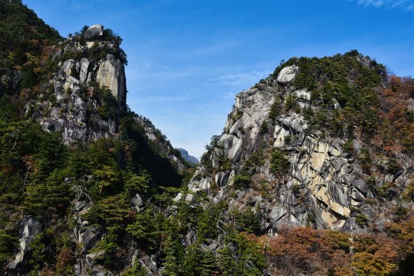 ニコン D750 ボディで撮影された写真 - 価格.com