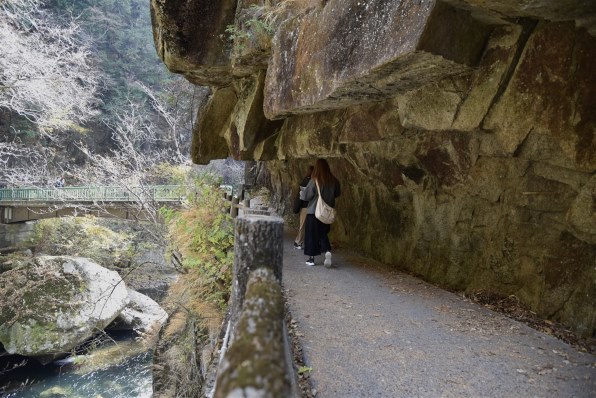 ニコン D750 ボディで撮影された写真 - 価格.com