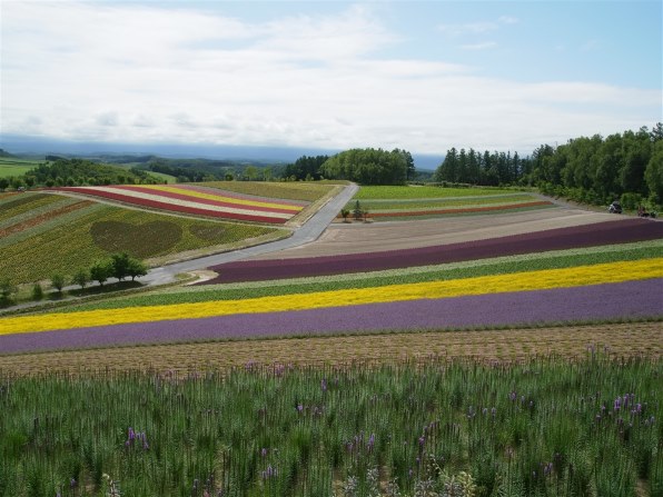 リコー GXR レンズキット GXR+P10 KIT 価格比較 - 価格.com