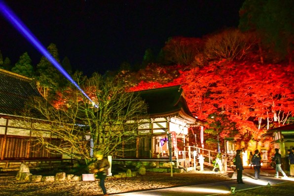 ニコン AF-S DX NIKKOR 18-140mm f/3.5-5.6G ED VRで撮影された写真