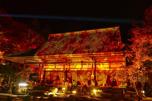 ニコン AF-S DX NIKKOR 18-140mm f/3.5-5.6G ED VRで撮影された写真