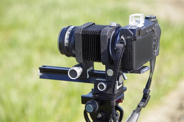 SONY α7R II ILCE-7RM2 ボディ投稿画像・動画 - 価格.com