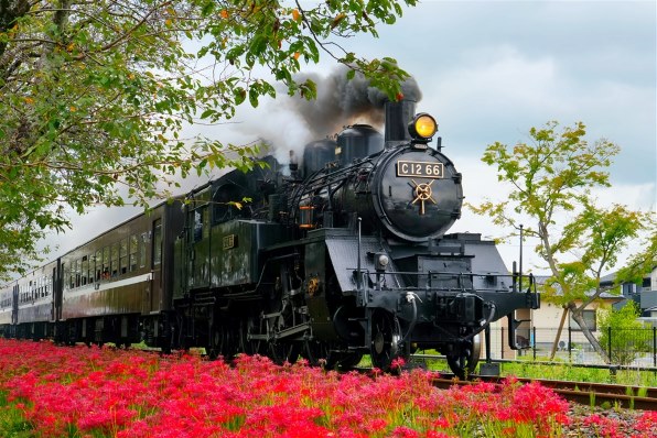 SONY E 16-55mm F2.8 G SEL1655Gで撮影された写真 - 価格.com