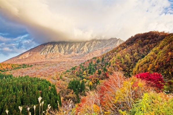 CANON EOS Kiss X4 ダブルズームキットで撮影された写真 (掲示板