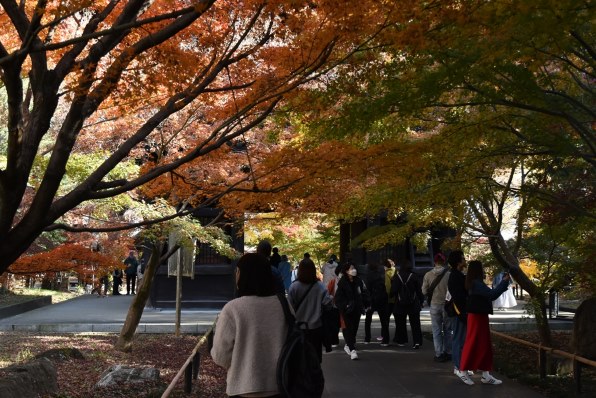 ニコン D3500 ダブルズームキットで撮影された写真 - 価格.com